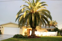 /album/villa-thalassa/img-9607-jpg2/